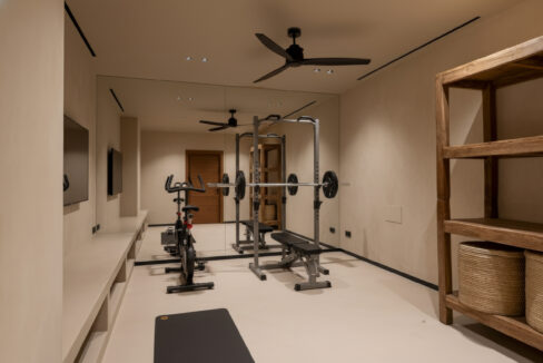 Fuster-26 BASEMENT 3 - Gym